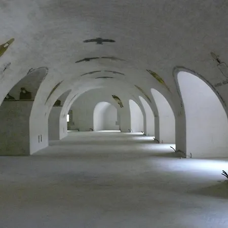 Tulipan Panzio فندق مبيت وإفطار