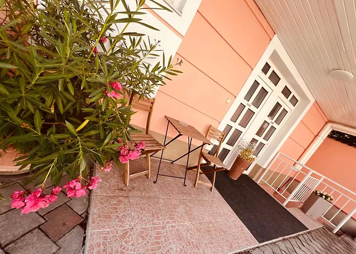 Tulipan Panzio Bed & Breakfast