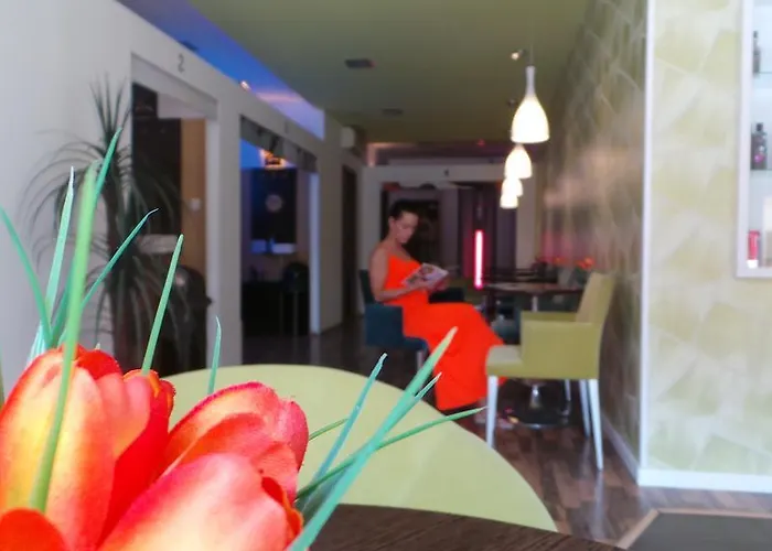 Tulipan Panzio Bed & Breakfast Komarom