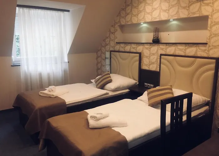 Tulipan Panzio Komarom